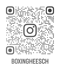 https://www.instagram.com/boxingheesch/